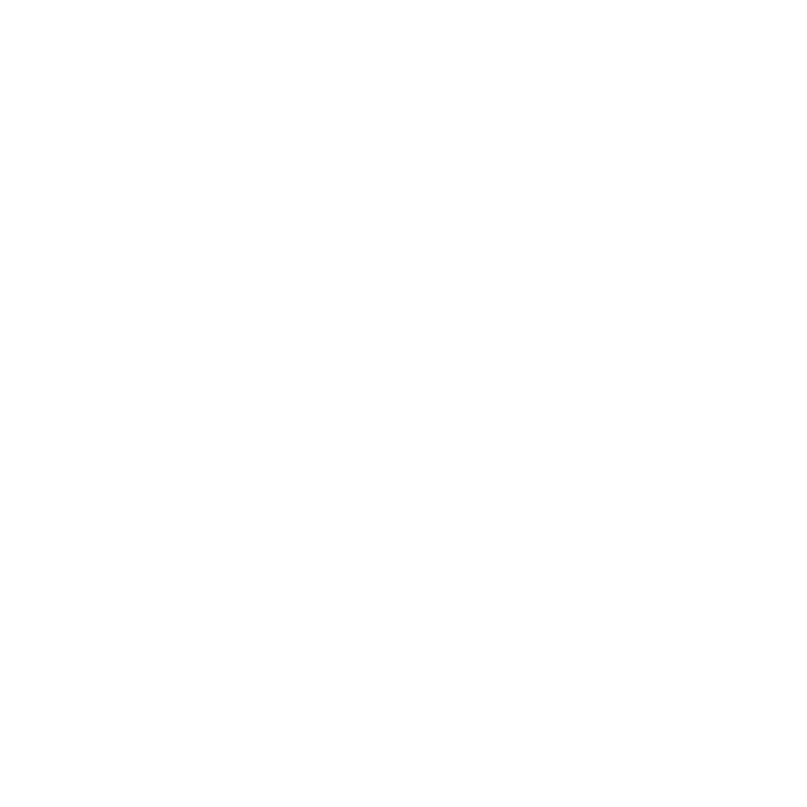 Nhexis Logo