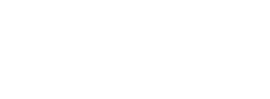 Euphoric Nation Logo